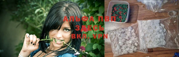 дживик Вязьма