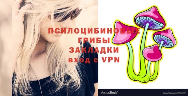 дживик Вязьма